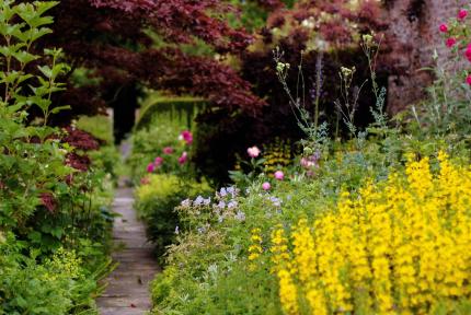 Gallery Item 11 for Saltmarshe Hall