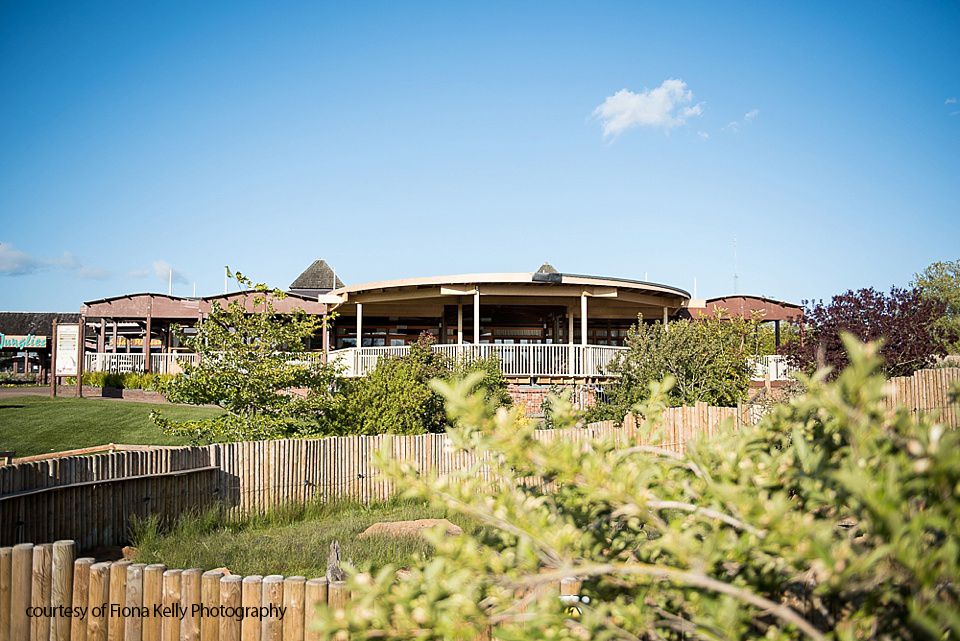 Gallery Item 8 for The Safari Lodge at Woburn Safari Park