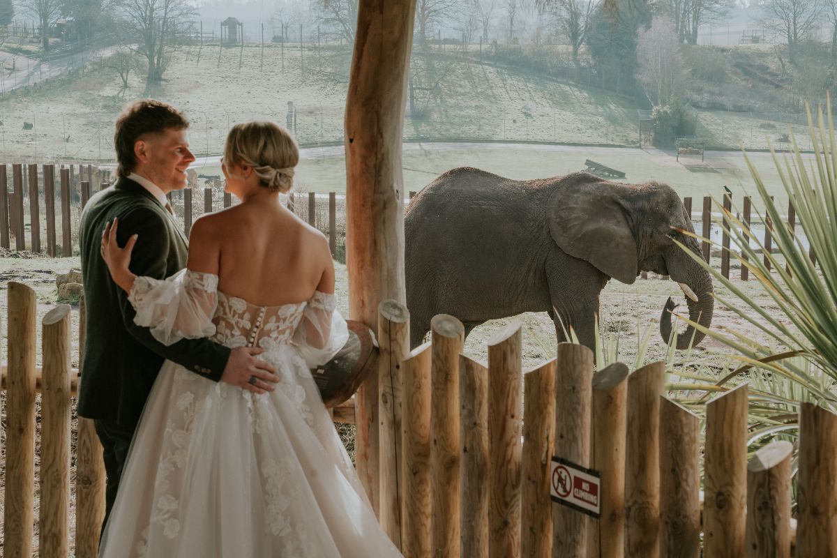 Gallery Item 8 for Safari Venues - West Midland Safari Park