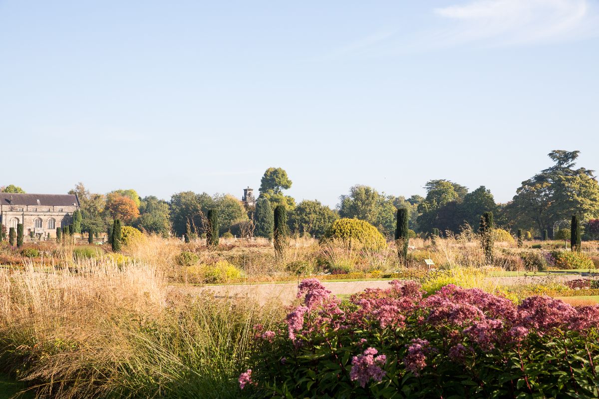 Gallery Item 6 for The Trentham Estate