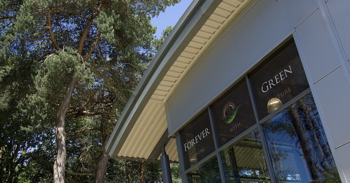Gallery Item 3 for Forever Green