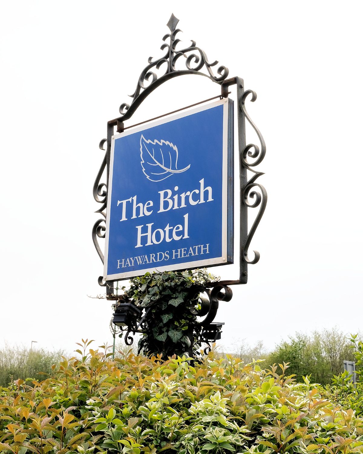 Gallery Item 6 for THE BIRCH HOTEL